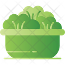 پیش‌نمایش فایل salad-6071066 از پک بیرون بر