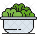 پیش‌نمایش فایل salad-6070262 از پک بیرون بر