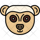 پیش‌نمایش فایل meerkat-face-7002053 از پک چهره حیوانات
