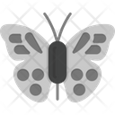 پیش‌نمایش فایل butterfly-7002827 از پک چهره حیوانات