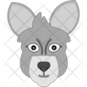 پیش‌نمایش فایل kangaroo-face-7002848 از پک چهره حیوانات