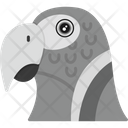 پیش‌نمایش فایل parrot-face-7002857 از پک چهره حیوانات