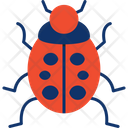 پیش‌نمایش فایل ladybug-7003150 از پک چهره حیوانات