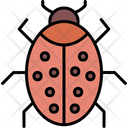 پیش‌نمایش فایل bug-7310953 از پک پرداخت امن