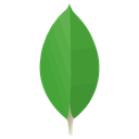 پیش‌نمایش فایل mongodb-4 از پک لوگو رایگان