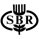 پیش‌نمایش فایل sbr از پک لوگوی بانک
