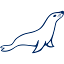 پیش‌نمایش فایل mariadb از پک ابزار توسعه