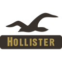 پیش‌نمایش فایل hollister از پک لوگوهای برندهای جهان جلد 20