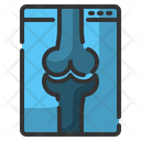 پیش‌نمایش فایل x-ray-6325314 از پک بیمارستان