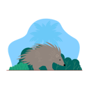پیش‌نمایش فایل hedgehog-6300233 از پک حیات وحش