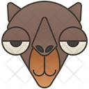 پیش‌نمایش فایل camel-5722235 از پک حیوانات وحشی