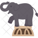 پیش‌نمایش فایل elephant-show-5767457 از پک سیرک