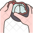 پیش‌نمایش اکشن‌ها