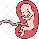 پیش‌نمایش فایل fetus-5772727 از پک سلامت باروری