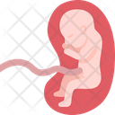 پیش‌نمایش فایل fetus-5772757 از پک سلامت باروری