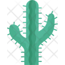 پیش‌نمایش فایل cactus-plant-5800163 از پک کابوی