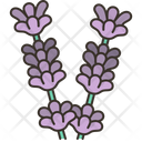 پیش‌نمایش فایل lavender-6029592 از پک پرتغال
