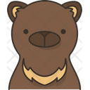 پیش‌نمایش فایل bear-face-6168916 از پک هید2 حیوان