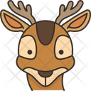 پیش‌نمایش فایل deer-face-6168923 از پک هید2 حیوان