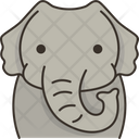 پیش‌نمایش فایل elephant-face-6168925 از پک هید2 حیوان