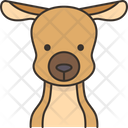 پیش‌نمایش فایل kangaroo-face-6168929 از پک هید2 حیوان