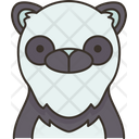 پیش‌نمایش فایل panda-face-6168934 از پک هید2 حیوان