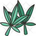 پیش‌نمایش فایل cannabis-leaves-6366852 از پک شاهدانه