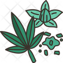 پیش‌نمایش فایل marijuana-6366857 از پک شاهدانه
