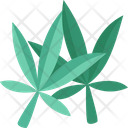 پیش‌نمایش فایل cannabis-leaves-6366882 از پک شاهدانه