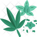 پیش‌نمایش فایل marijuana-6366887 از پک شاهدانه