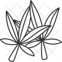 پیش‌نمایش فایل cannabis-leaves-6366912 از پک شاهدانه