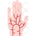 پیش‌نمایش فایل palm-vein-6441160 از پک بیومتریک