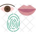 آیکن