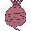 پیش‌نمایش فایل beetroot-6442514 از پک سبزیجات ریشه‌ای