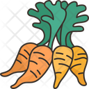 پیش‌نمایش فایل carrot-6442516 از پک سبزیجات ریشه‌ای