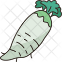 پیش‌نمایش فایل daikon-6442519 از پک سبزیجات ریشه‌ای