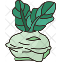 پیش‌نمایش فایل kohlrabi-6442525 از پک سبزیجات ریشه‌ای