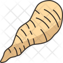 پیش‌نمایش فایل parsnip-6442530 از پک سبزیجات ریشه‌ای