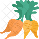 پیش‌نمایش فایل carrot-6442546 از پک سبزیجات ریشه‌ای