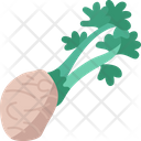 آیکن