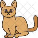 پیش‌نمایش فایل abyssinian-cat-6459934 از پک گربه