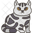 پیش‌نمایش فایل american-shorthair-cat-6459936 از پک گربه