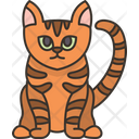 پیش‌نمایش فایل arabian-mau-cat-6459937 از پک گربه