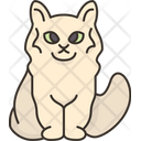 پیش‌نمایش فایل asian-longhair-cat-6459938 از پک گربه