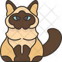پیش‌نمایش فایل balinese-kitten-6459939 از پک گربه