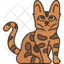پیش‌نمایش فایل bengal-cat-6459940 از پک گربه