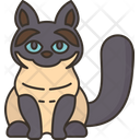 پیش‌نمایش فایل birman-cat-6459941 از پک گربه