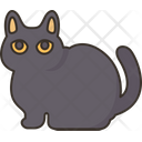 پیش‌نمایش فایل bombay-cat-6459942 از پک گربه