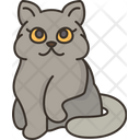 پیش‌نمایش فایل british-cat-6459944 از پک گربه