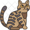 پیش‌نمایش فایل california-spangled-cat-6459946 از پک گربه
